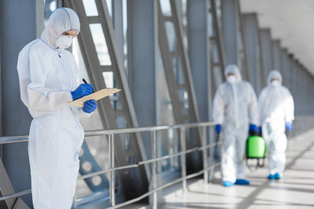 Best Post-Construction Mold Inspection  in Greilickville, MI