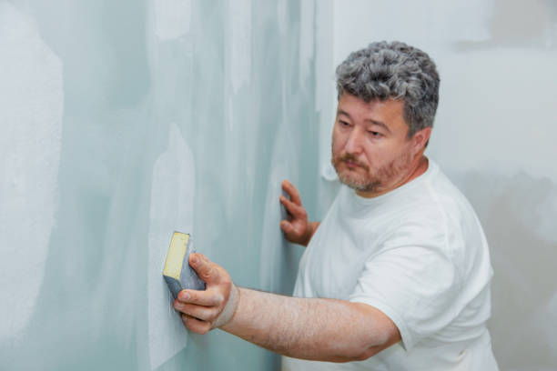 Reliable Greilickville, MI Mold Removal Solutions