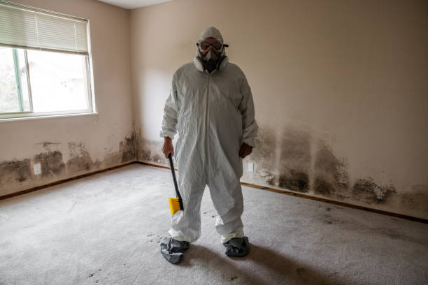 Best Air Quality Testing for Mold Spores  in Greilickville, MI