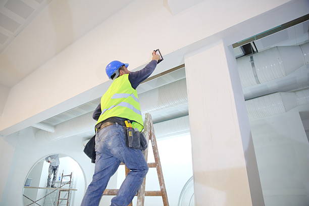 Best Industrial Mold Remediation  in Greilickville, MI