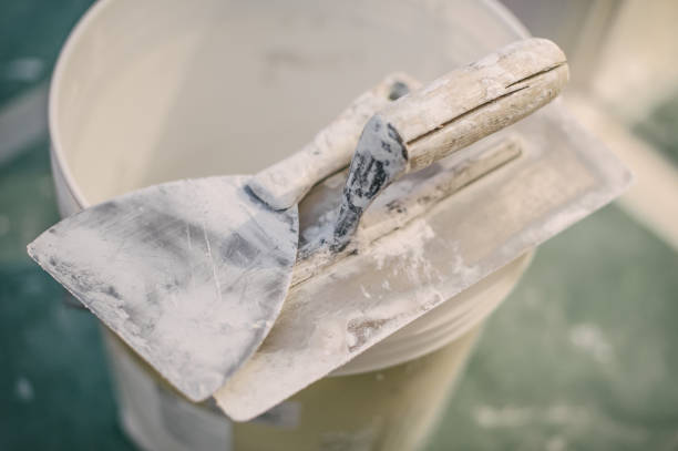 Best Mold Documentation for Insurance Claims  in Greilickville, MI