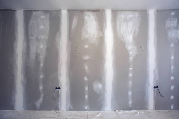 Best Mold Removal for HVAC Installations  in Greilickville, MI
