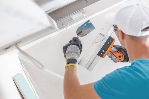 Best Dehumidification Services  in Greilickville, MI